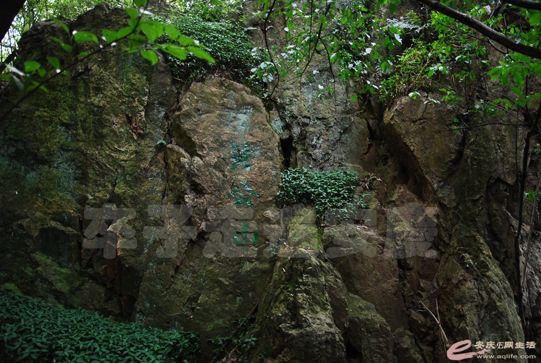 DSC_8603.jpg