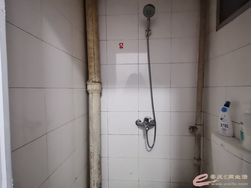 c8d56cbf-fbdc-4637-a446-6ca4c347ec4d_0.jpg