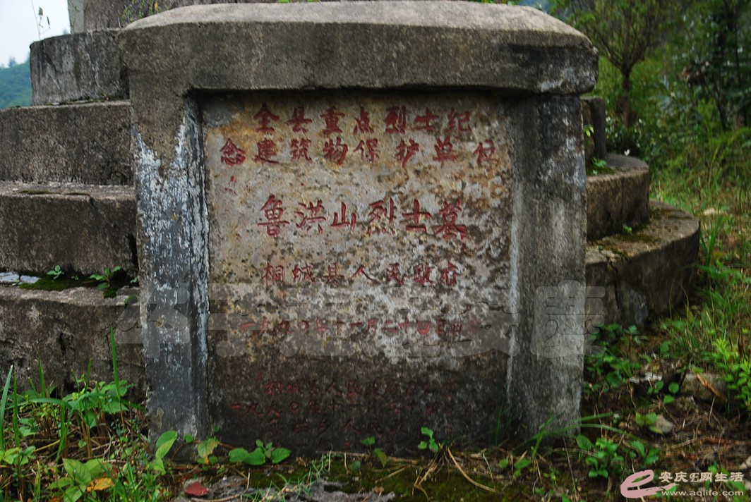 DSC_5555.jpg