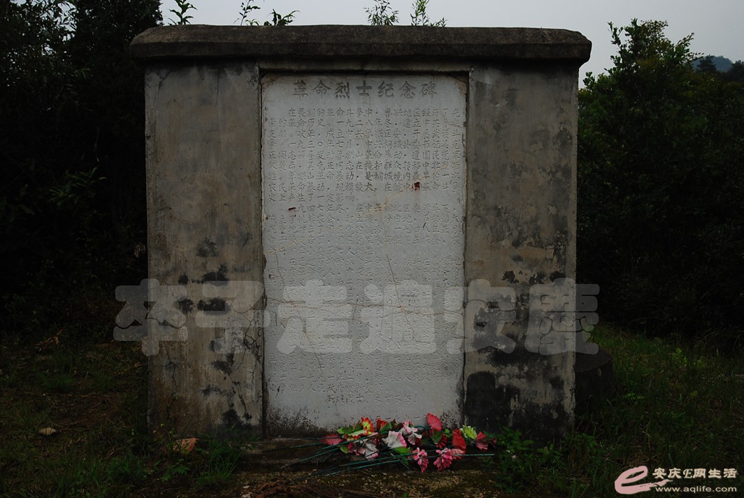 DSC_5557.jpg