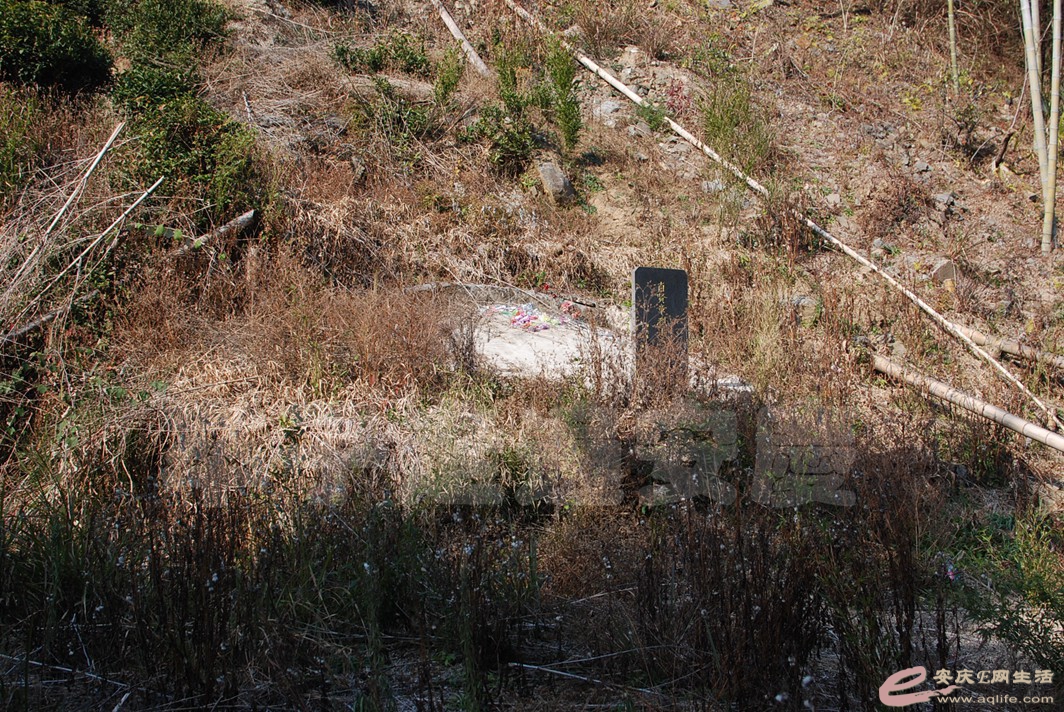 DSC_9488.jpg
