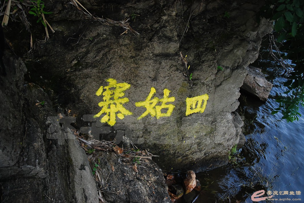 DSC_0519.jpg