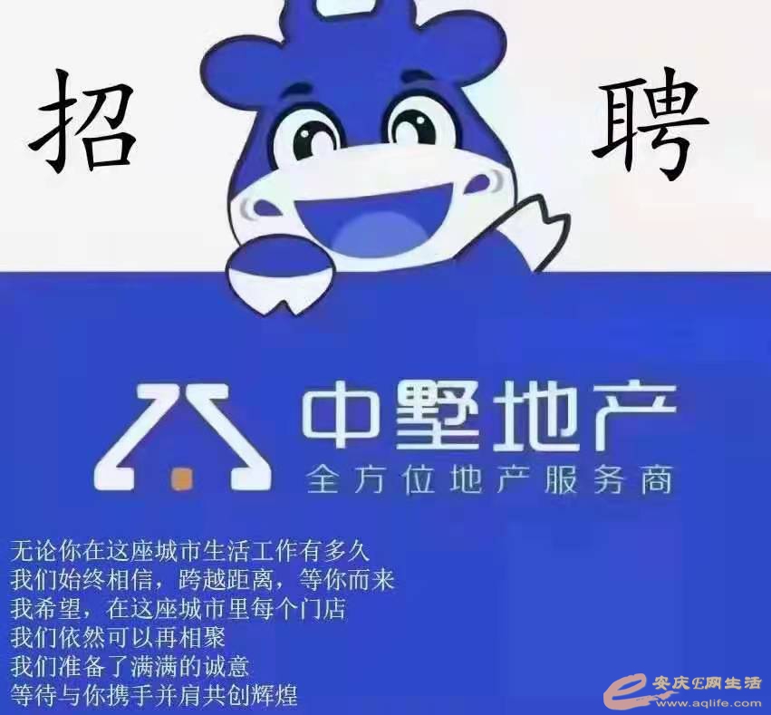 2f49883575c885818f20730d289cce8.jpg