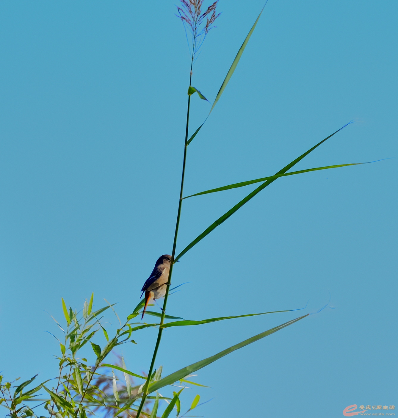 DSC_5286.JPG