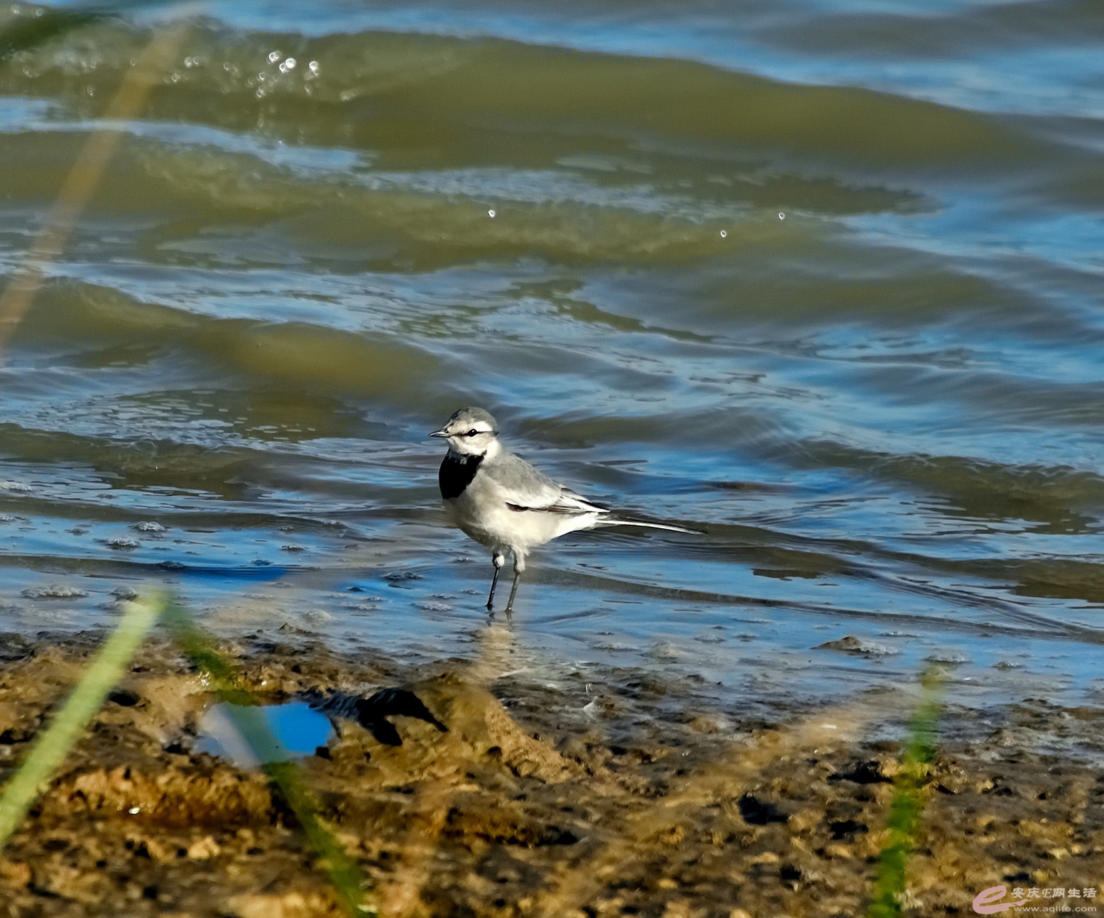 DSC_5482.JPG