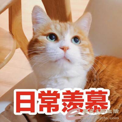 src=http://c-ssl.duitang.com/uploads/item/201802/05/20180205223226_mc34L.thumb.4.jpg