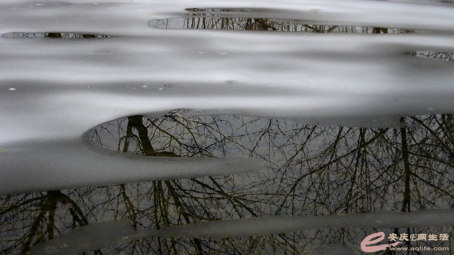 2008E.JPG