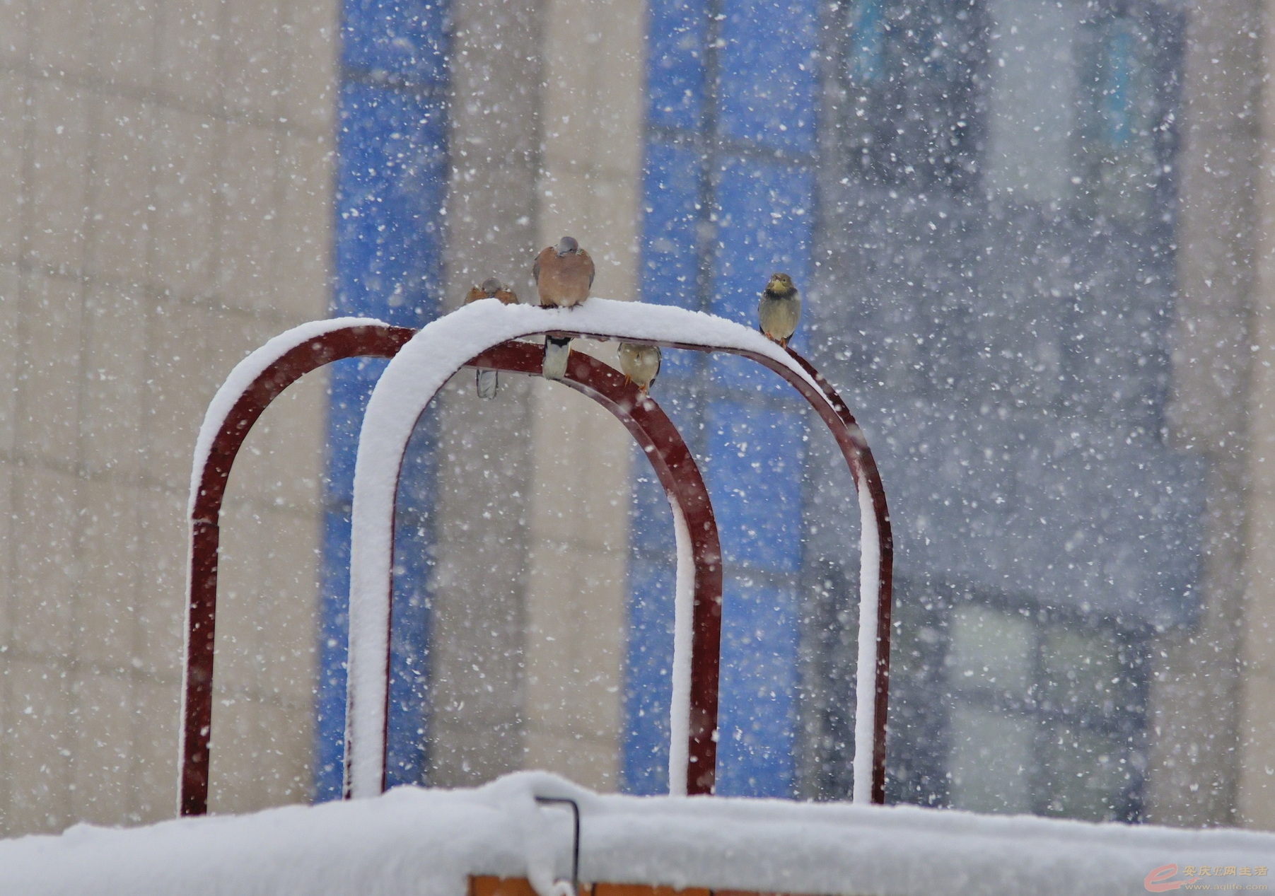 _DSC8059.JPG