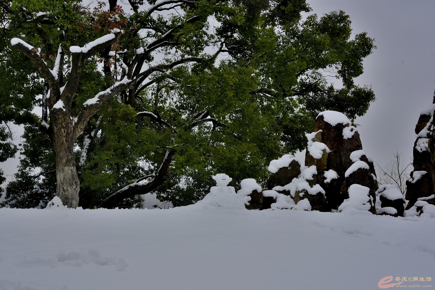 _DSC8079.JPG