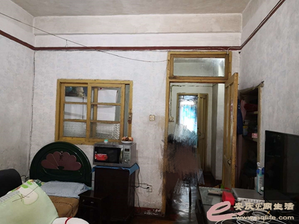 093813phnzn9qe9r6tr5cp.jpg