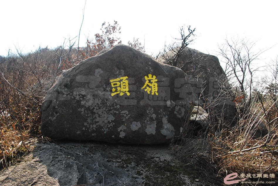 DSC_1727.jpg