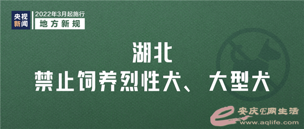 640 (12).png