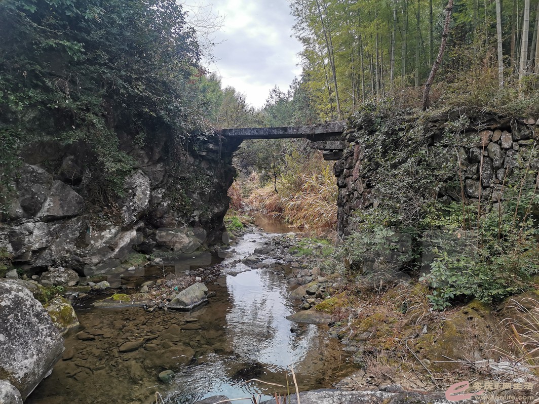 DSC_9606.jpg