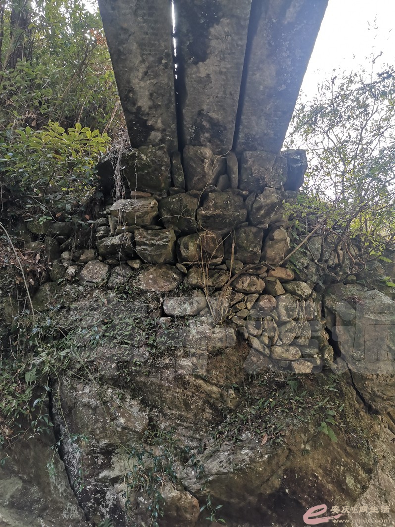 DSC_9635.jpg