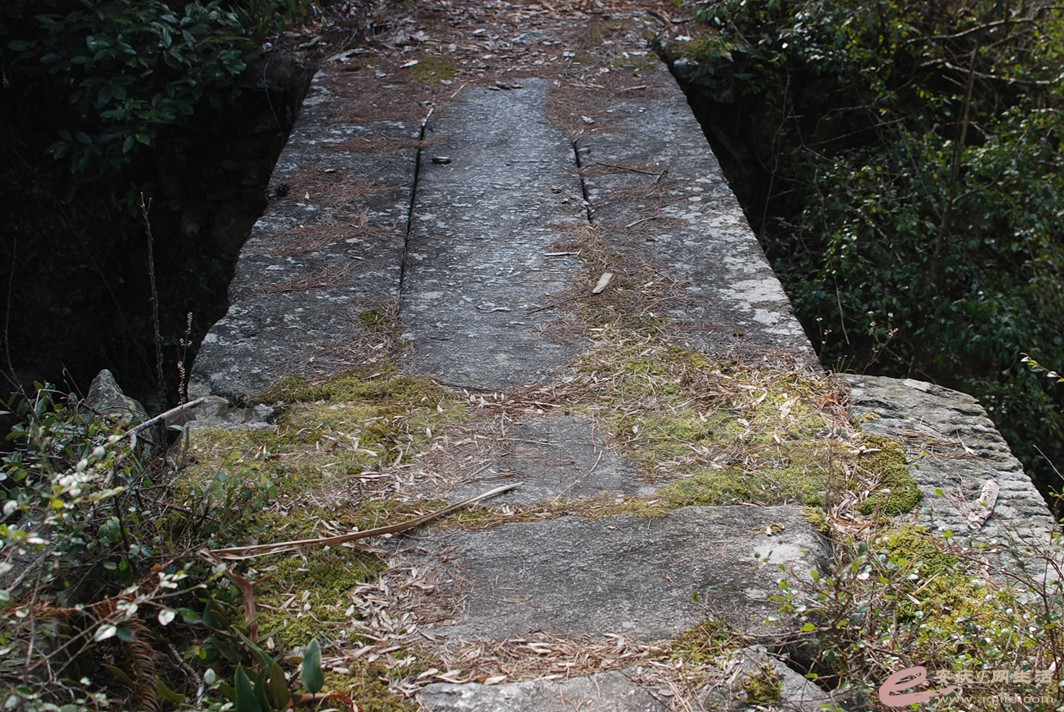 DSC_9648.jpg