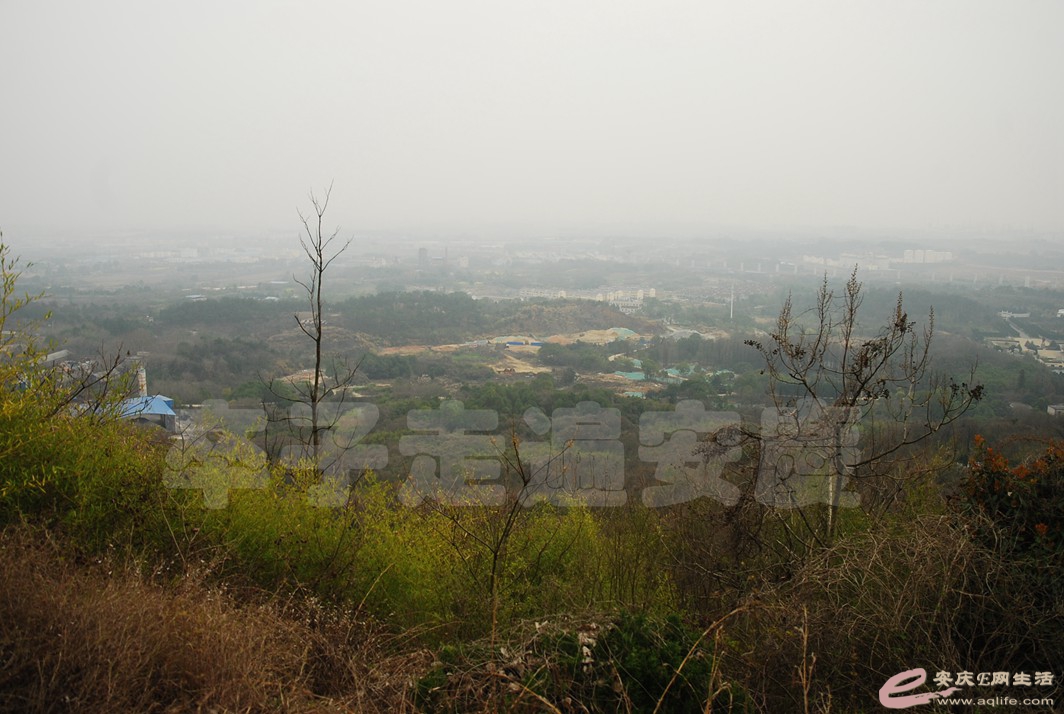 DSC_2546.jpg