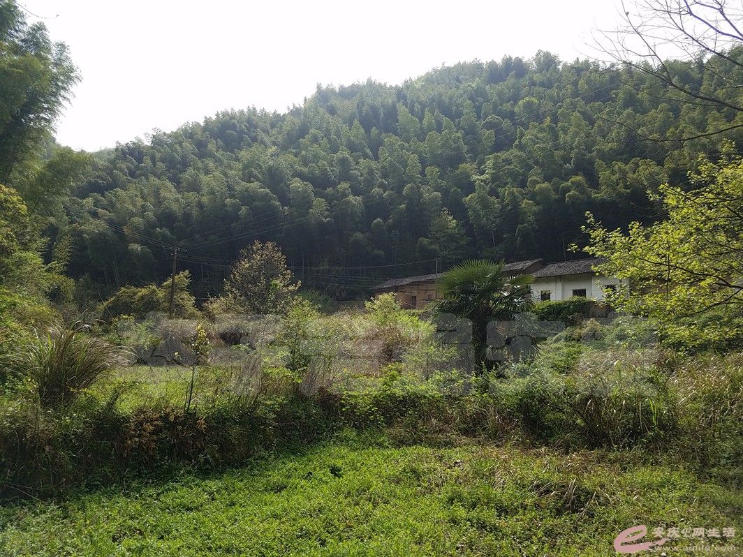 20180406_115230.jpg