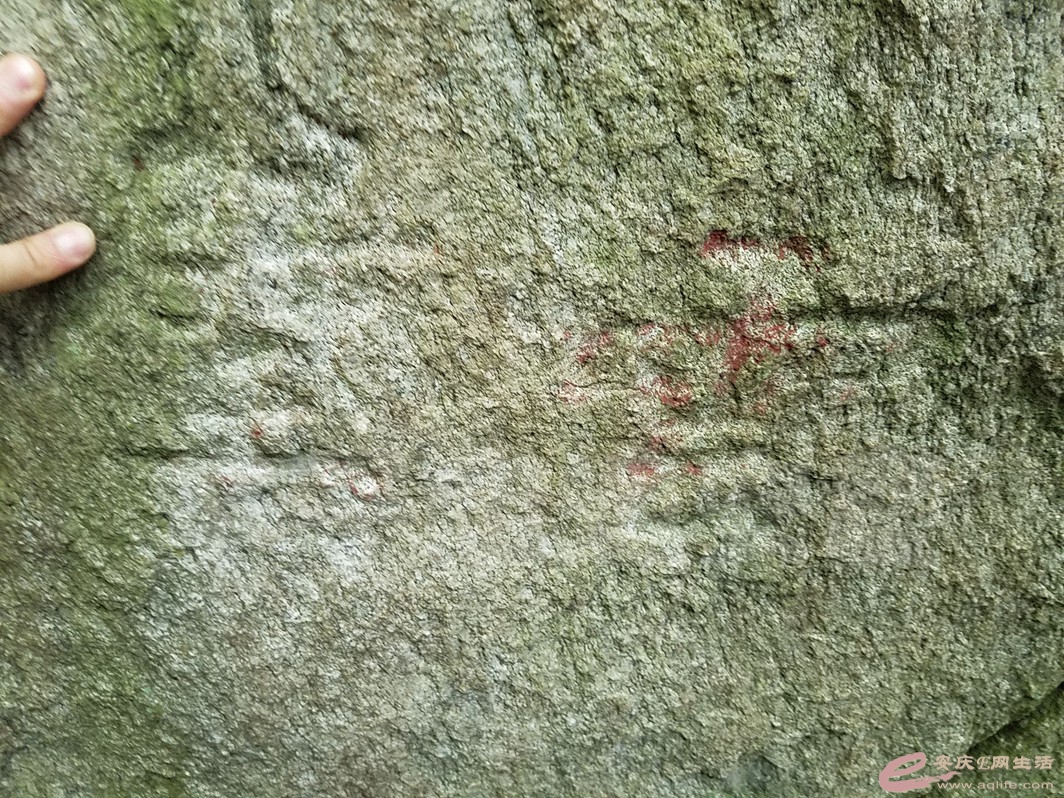 20180406_142032.jpg