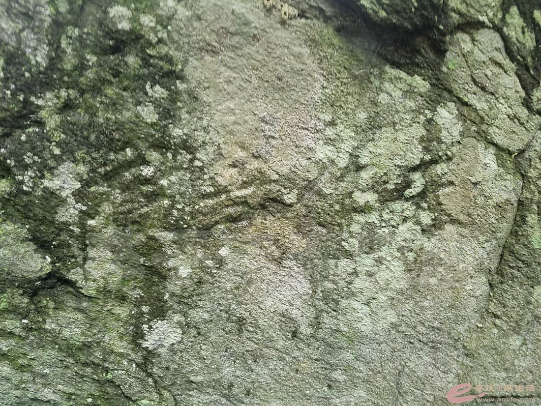 20180406_141930.jpg