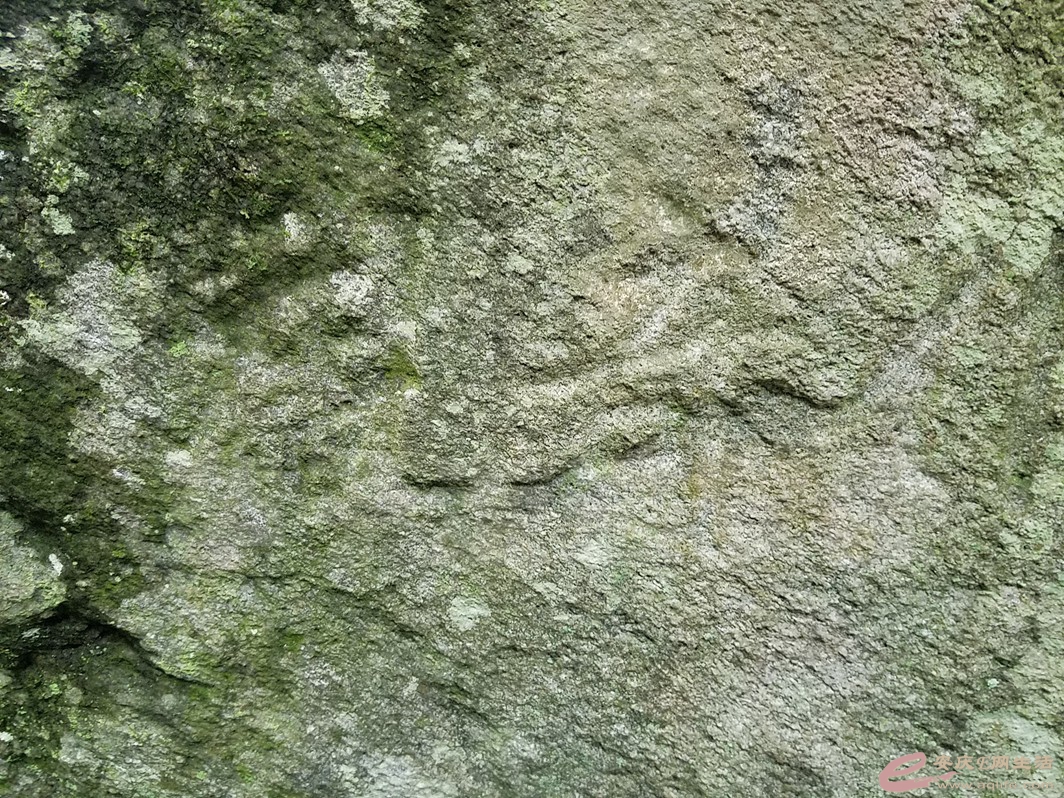20180406_141748.jpg