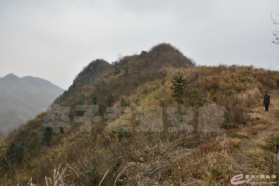 20170131 345.jpg
