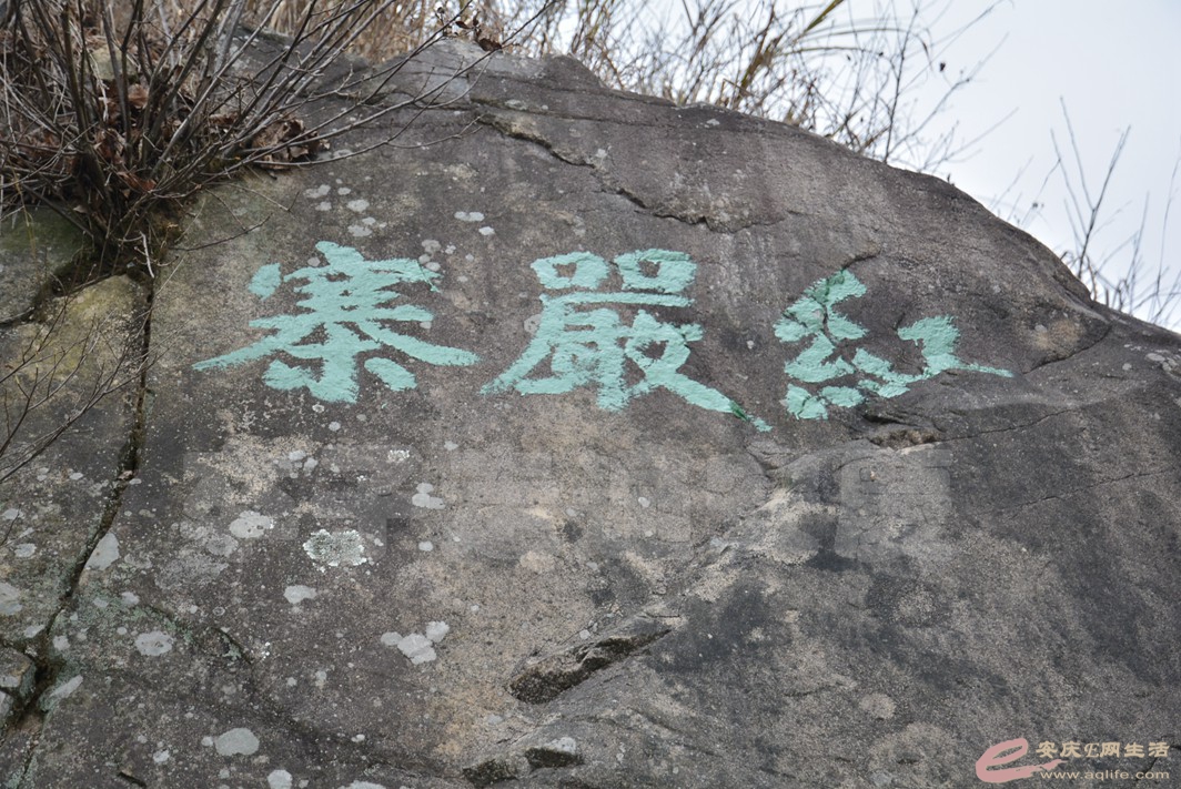 20170131 389.jpg