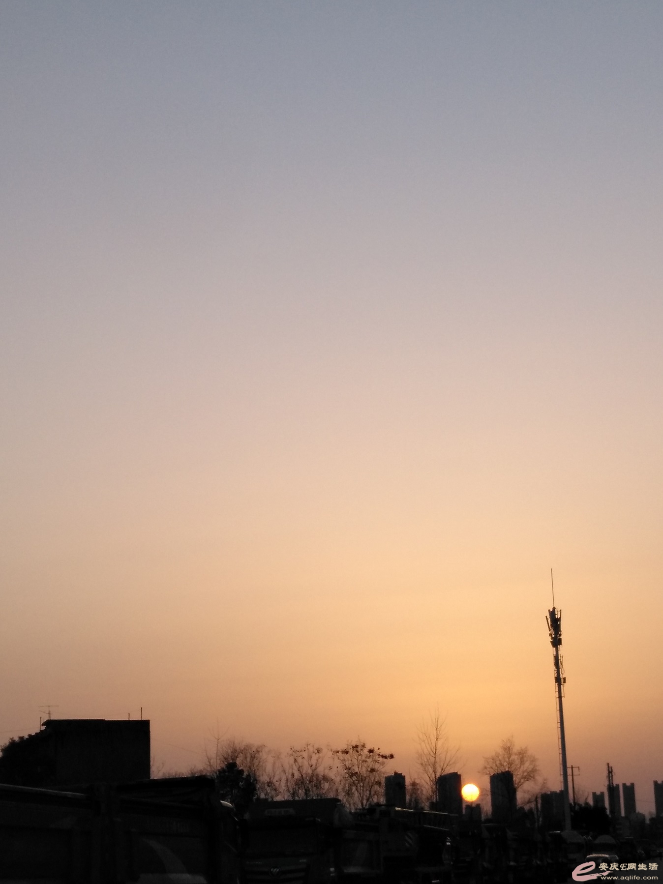 IMG_20220307_180237.jpg