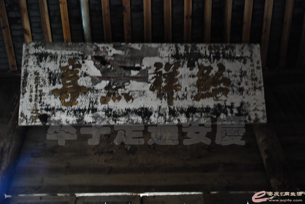 DSC_1715.jpg