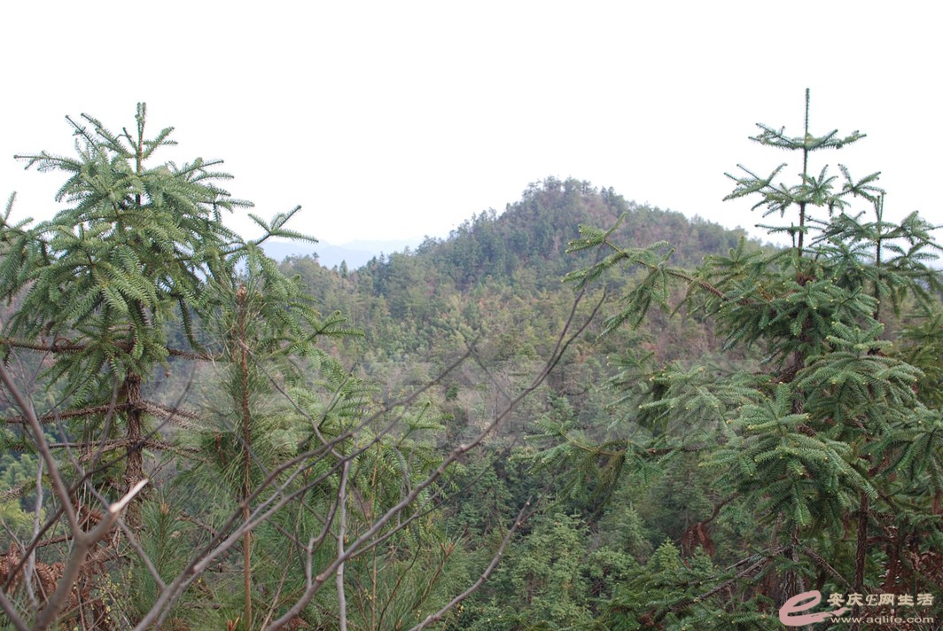 DSC_9655.jpg