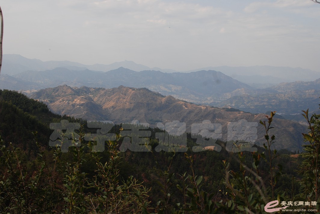 DSC_9671.jpg