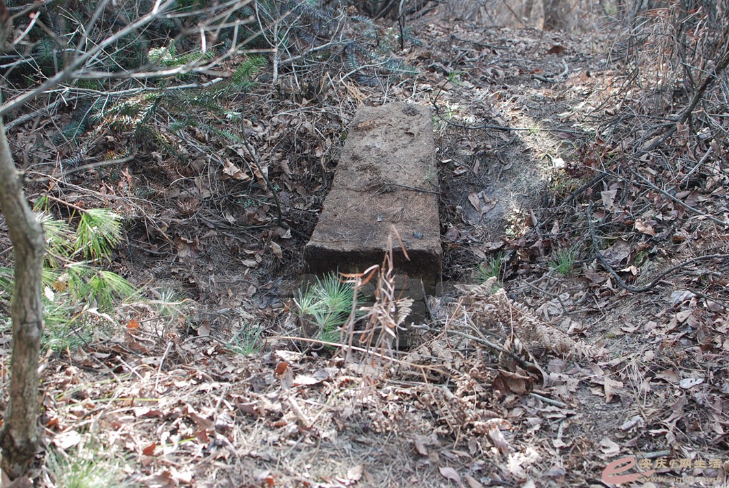 DSC_9688.jpg
