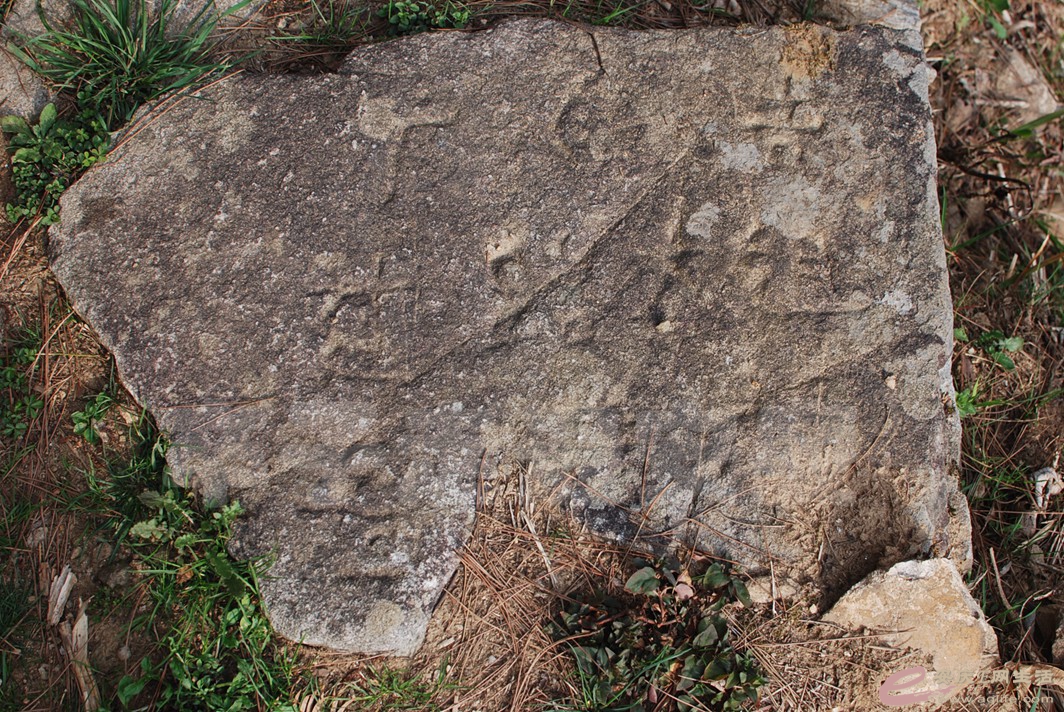 DSC_9947.jpg