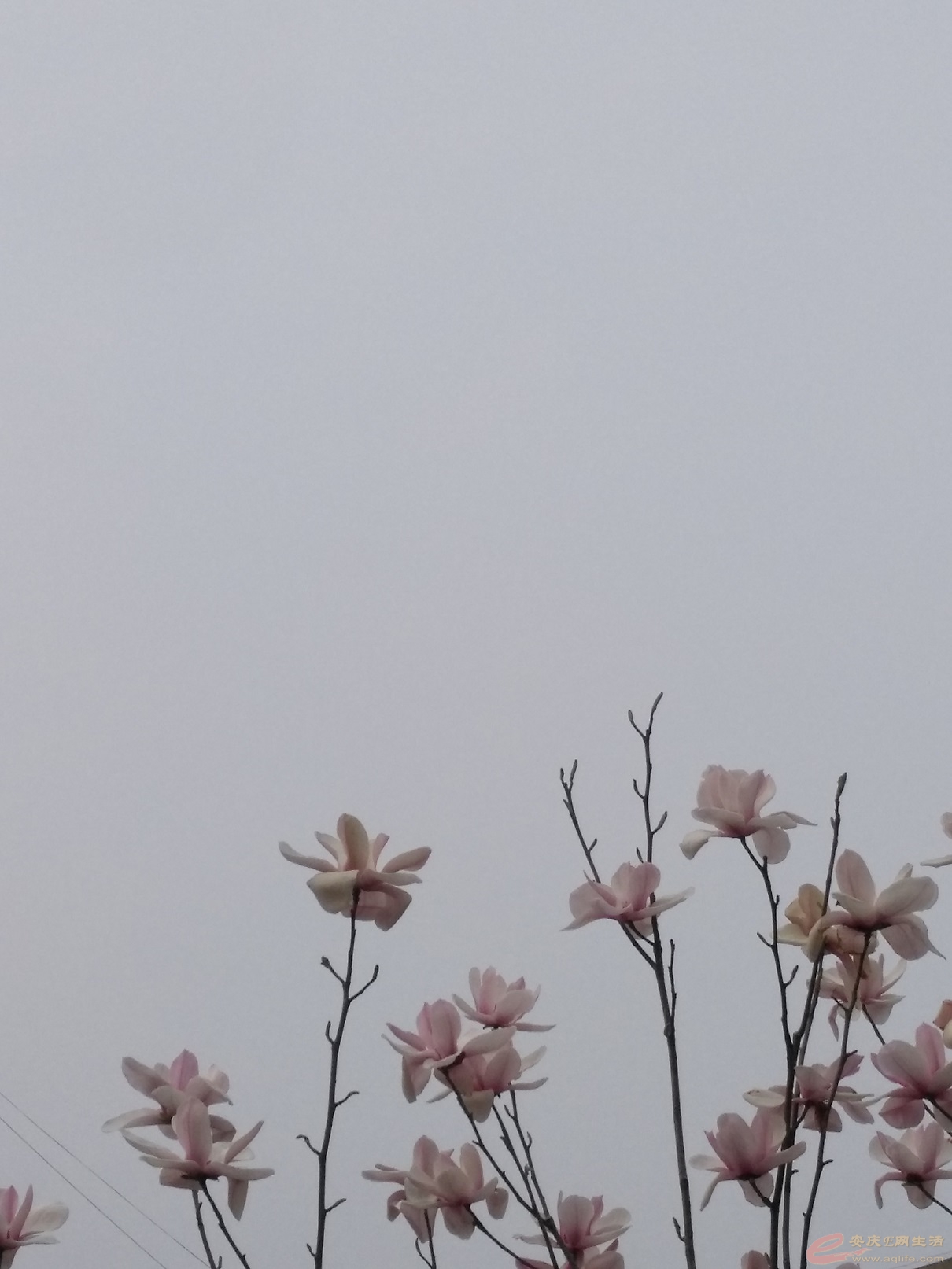 ΢ͼƬ_20220314182810.jpg