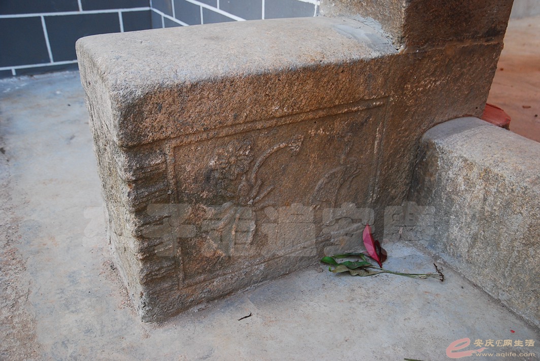 DSC_1656.jpg