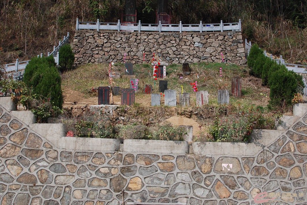 DSC_9900.jpg
