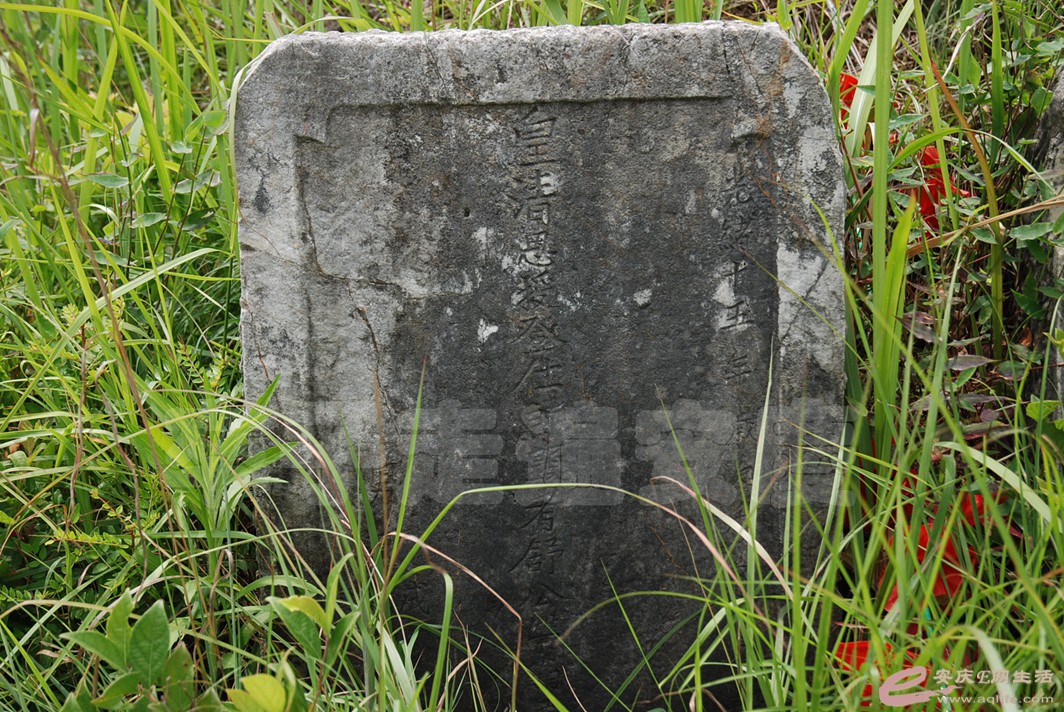 DSC_2646.jpg