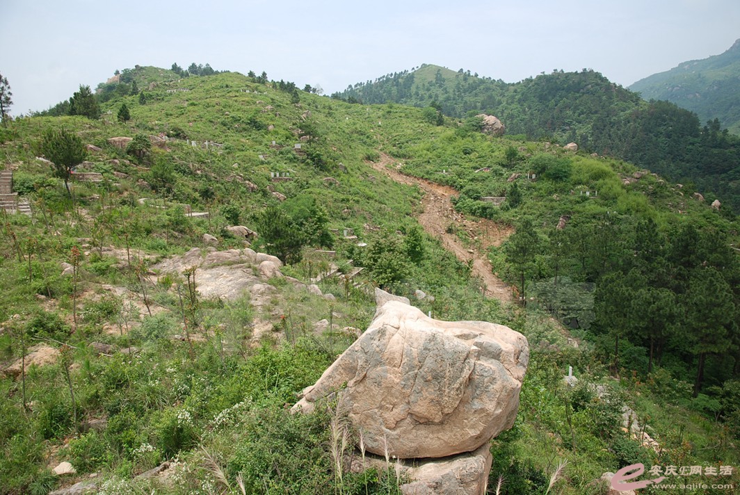 DSC_2605.jpg