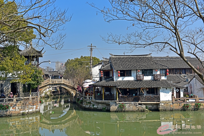 D81_3462_.jpg