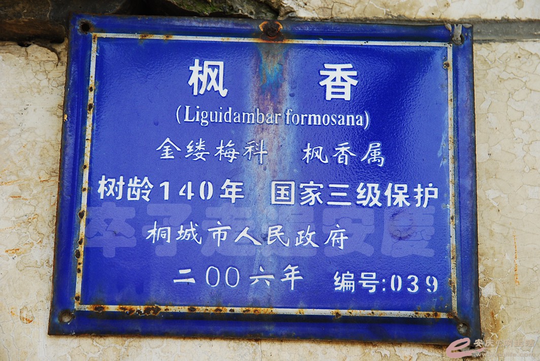 DSC_5091.jpg