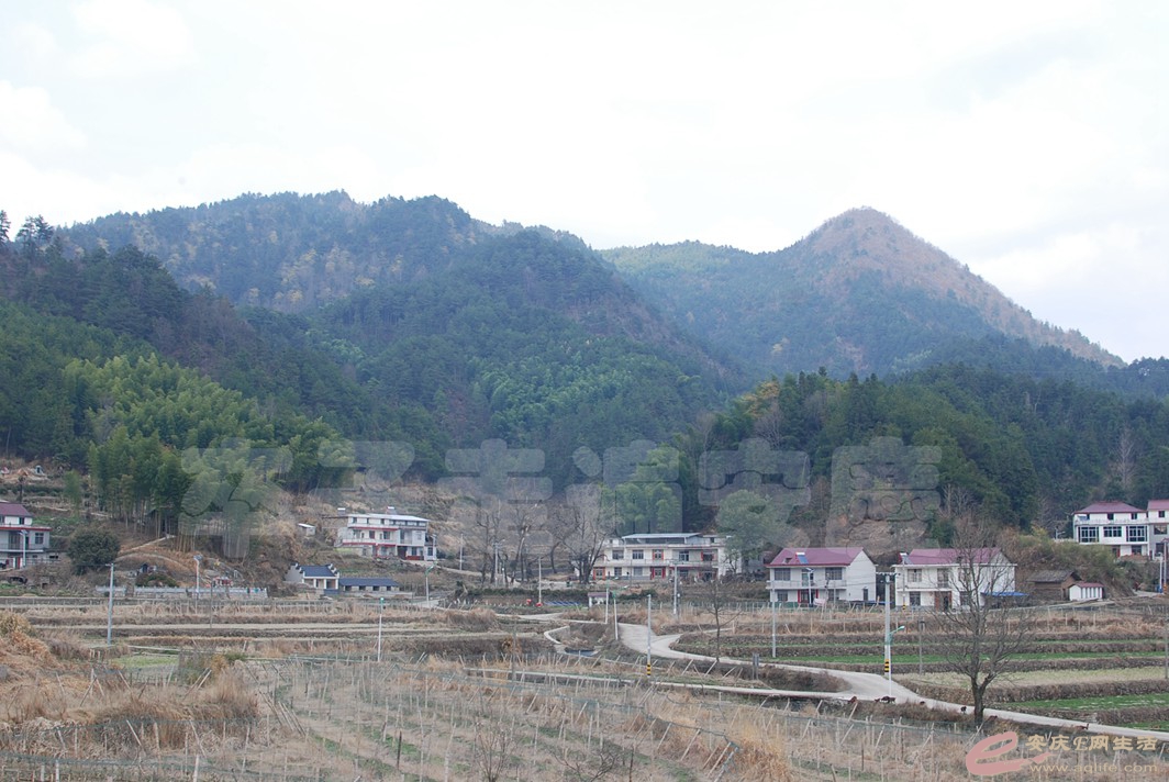 DSC_9924.jpg
