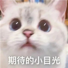 ΢ͼƬ_20220331161911.jpg