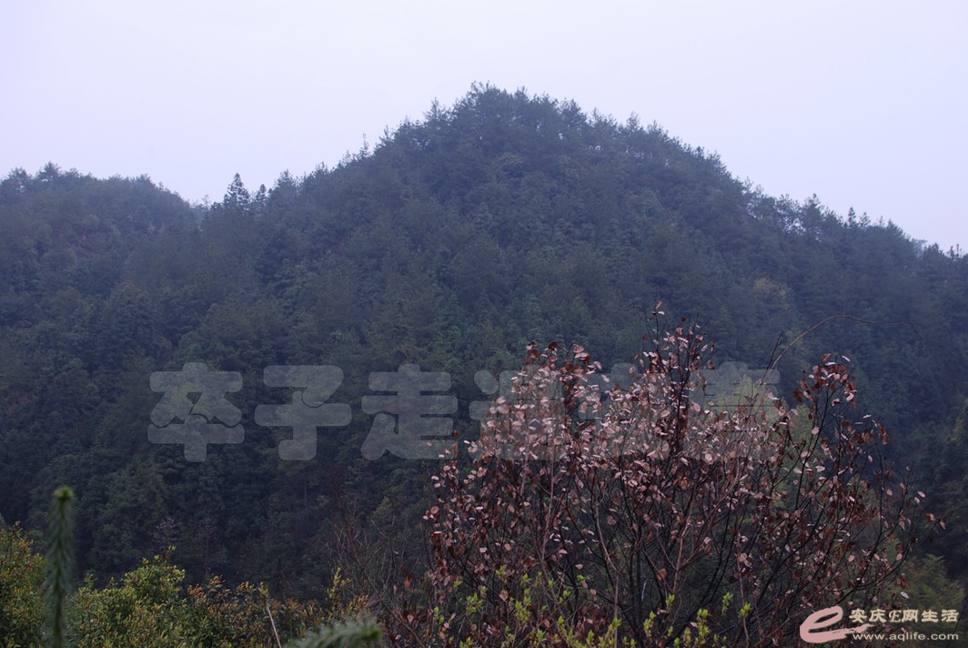 DSC_0030.jpg