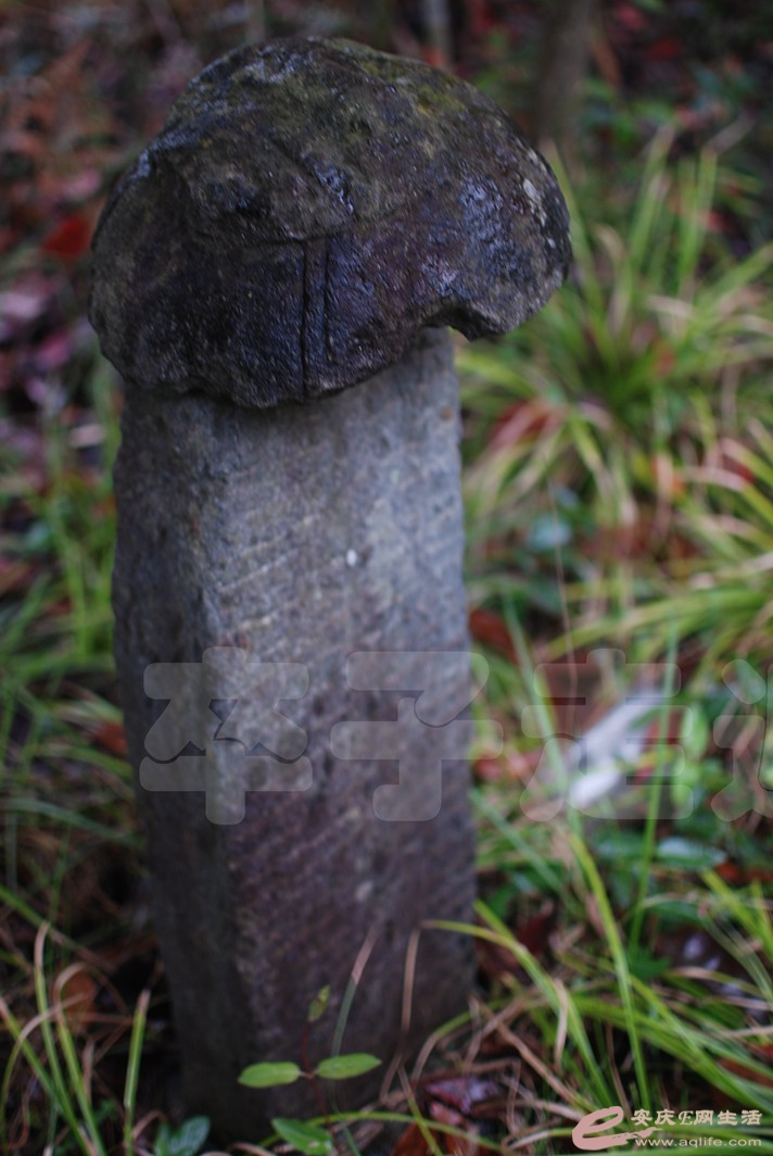 DSC_0034.jpg