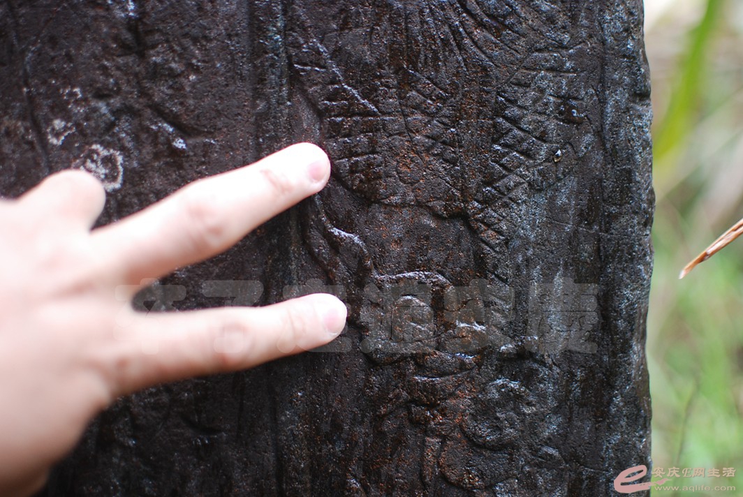 DSC_0052.jpg
