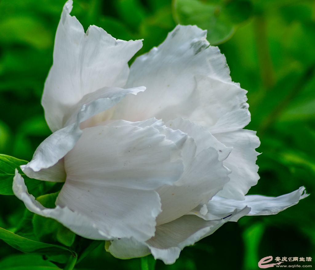 _DSC9847_.jpg
