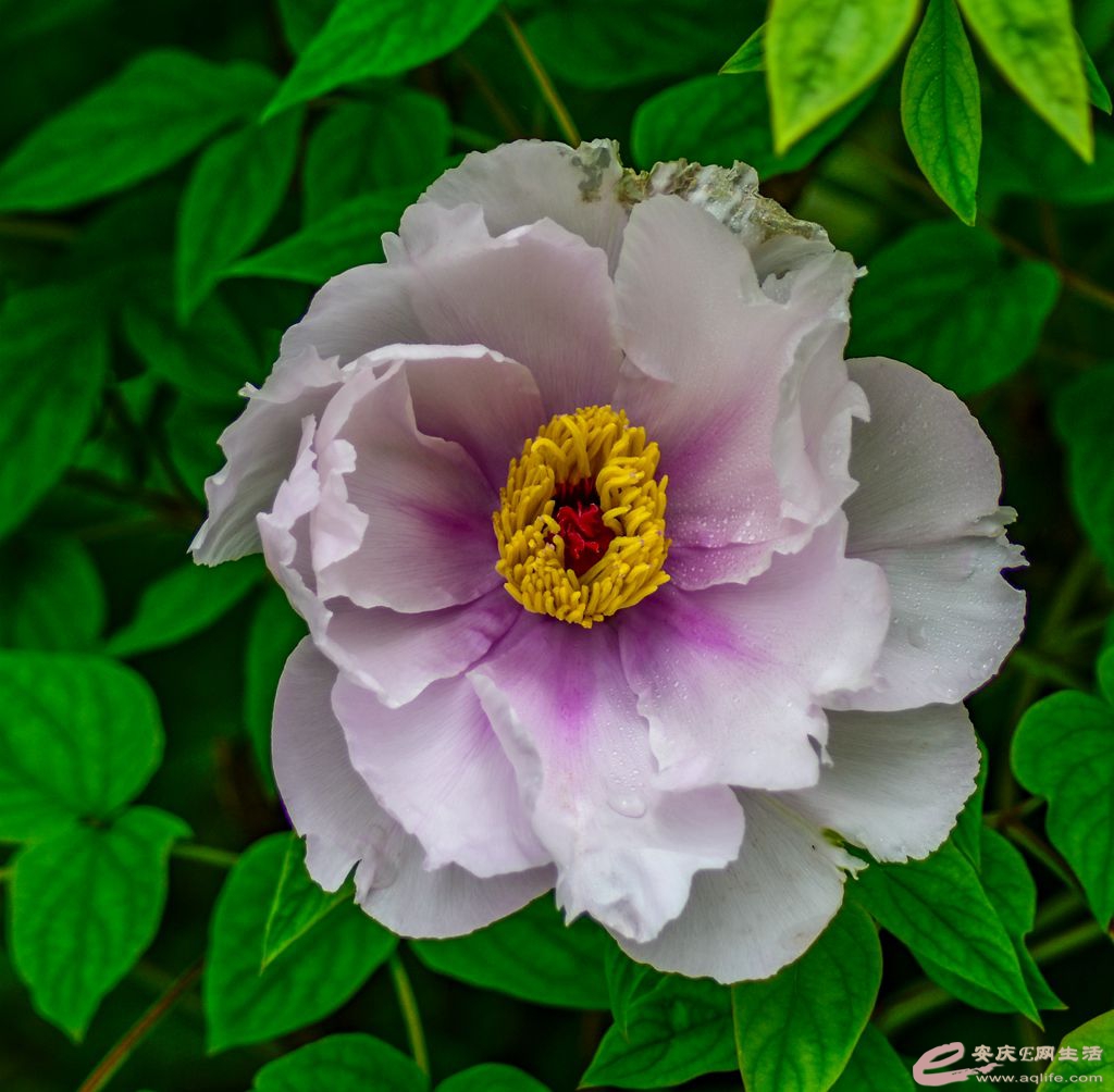 _DSC9970_.jpg