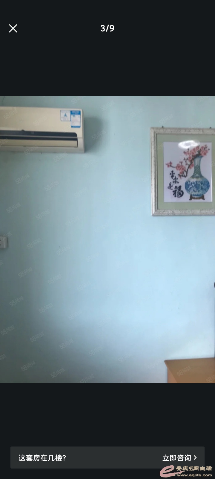 1648940216631989.jpeg