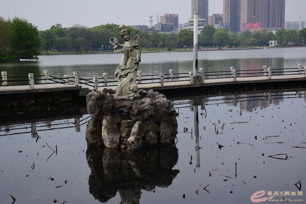 DSC_0064.JPG