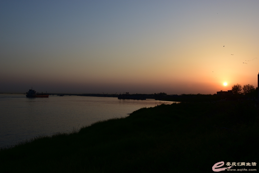 DSC_0029.JPG