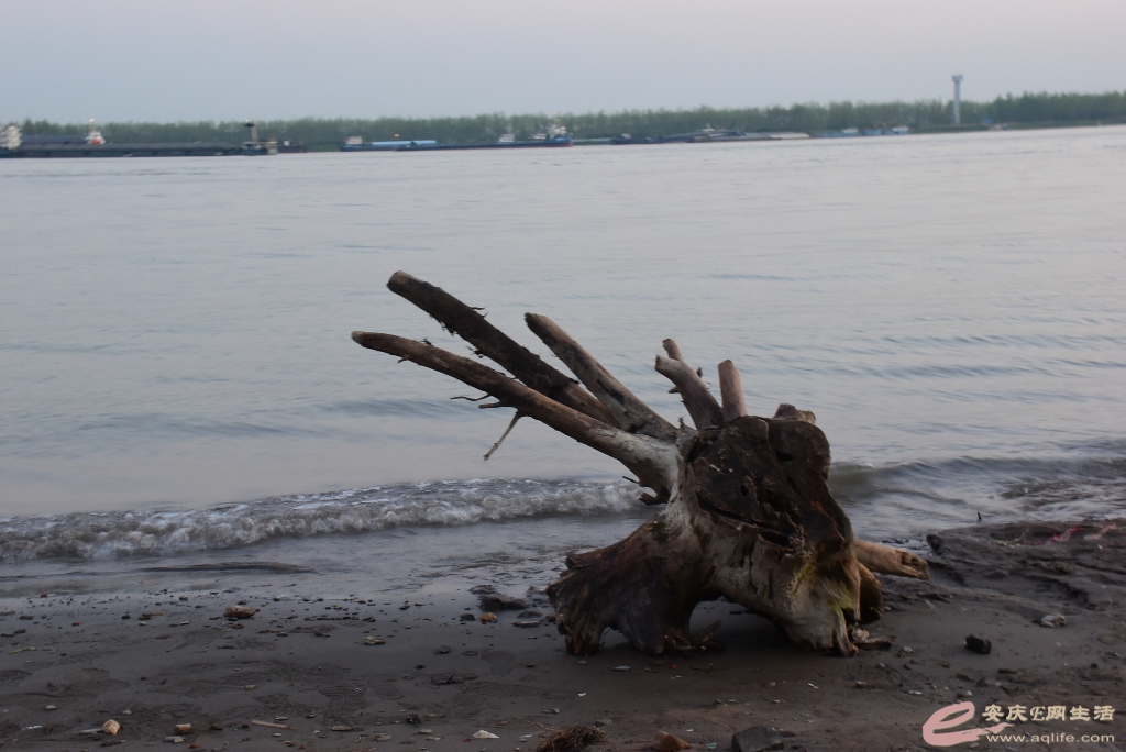 DSC_0084.JPG